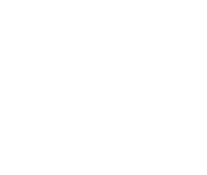 Omni-Ink logo