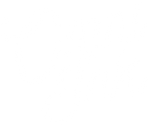 Omni-Ink